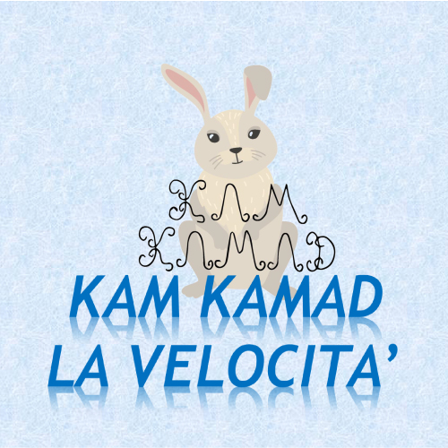 1-FOTO-VELOCITA'-KAM